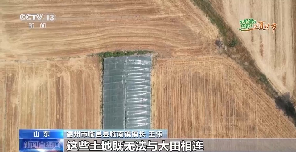 “三夏”生產(chǎn)思維導(dǎo)圖安排上了！還有政府大院等你來“曬”