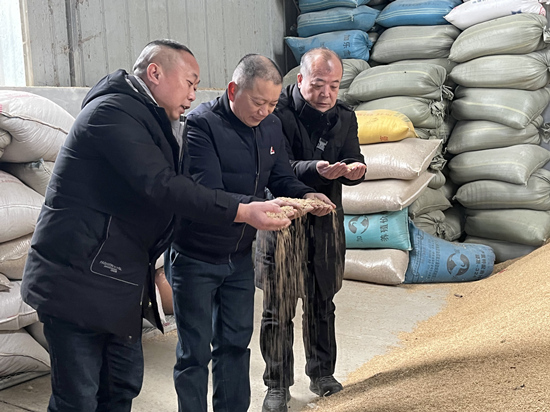 桃江種糧大戶與農(nóng)村農(nóng)業(yè)局技術(shù)人員正在查看春耕種子情況。受訪單位供圖