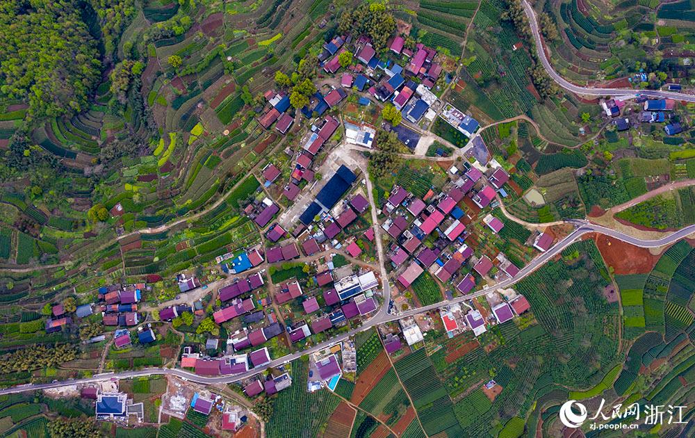 4月1日，紹興市新昌縣東茗鄉(xiāng)下巖貝村風(fēng)光秀麗，茶園旖旎。人民網(wǎng) 章勇濤攝