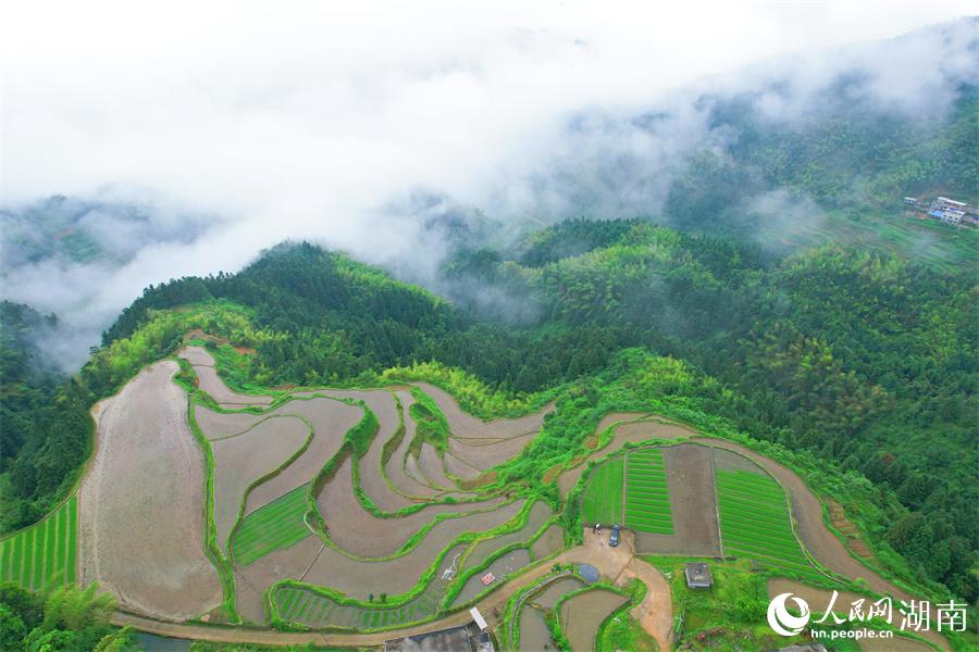 云中梯田美如畫。人民網 李芳森攝
