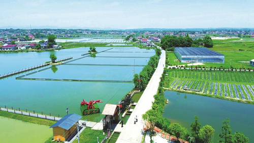 近年來，大成橋鎮(zhèn)堅(jiān)持加強(qiáng)黨對(duì)鄉(xiāng)村治理的集中統(tǒng)一領(lǐng)導(dǎo)，該鎮(zhèn)鄉(xiāng)村治理模式入選第二批全國鄉(xiāng)村治理典型案例。圖為美麗的大成橋鎮(zhèn)。（資料圖片）