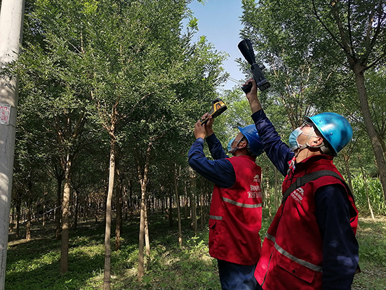 工作人員進行紅外測溫及超聲波局部放電檢測。 王亮攝