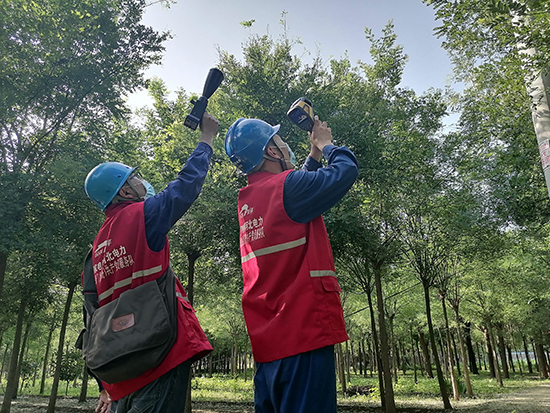 工作人員進行紅外測溫及超聲波局部放電檢測。 王亮攝