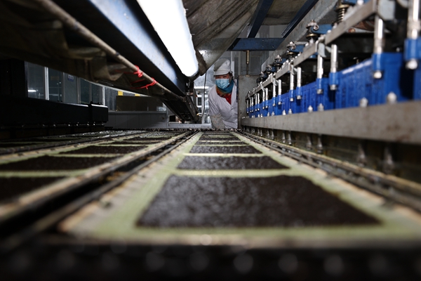 柘汪紫菜產(chǎn)業(yè)園內(nèi)入駐企業(yè)的紫菜生產(chǎn)線。贛榆區(qū)委宣傳部供圖