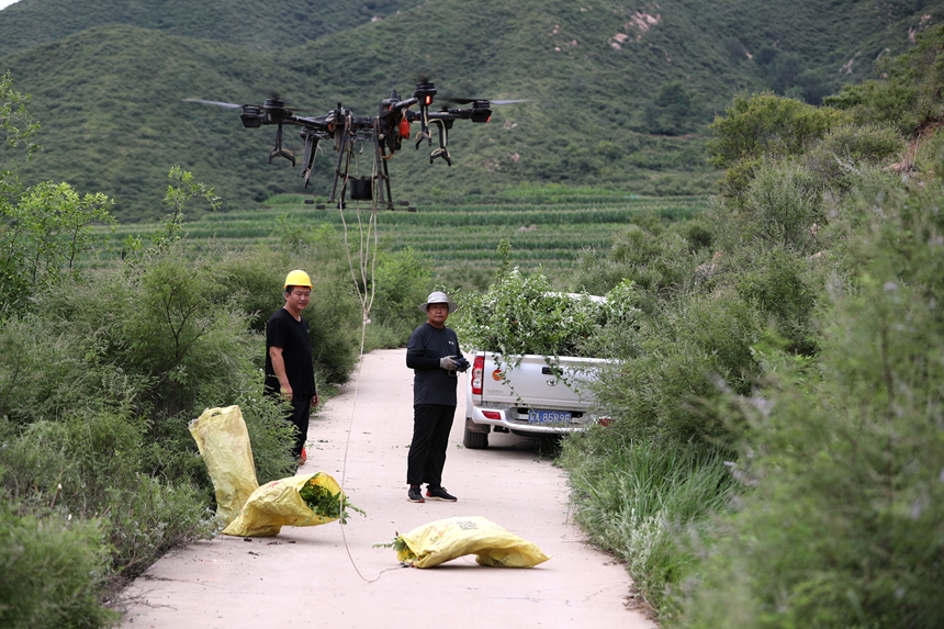 在石家莊市井陘縣吳家窯鄉(xiāng)長(zhǎng)峪村荒山造林現(xiàn)場(chǎng)，一名無(wú)人機(jī)手操控?zé)o人機(jī)運(yùn)輸樹苗。王保龍攝