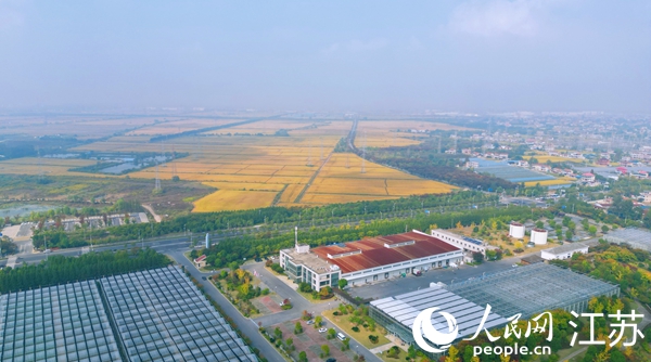 位于幸福街道的“萬頃良田”。人民網(wǎng)記者 王繼亮攝