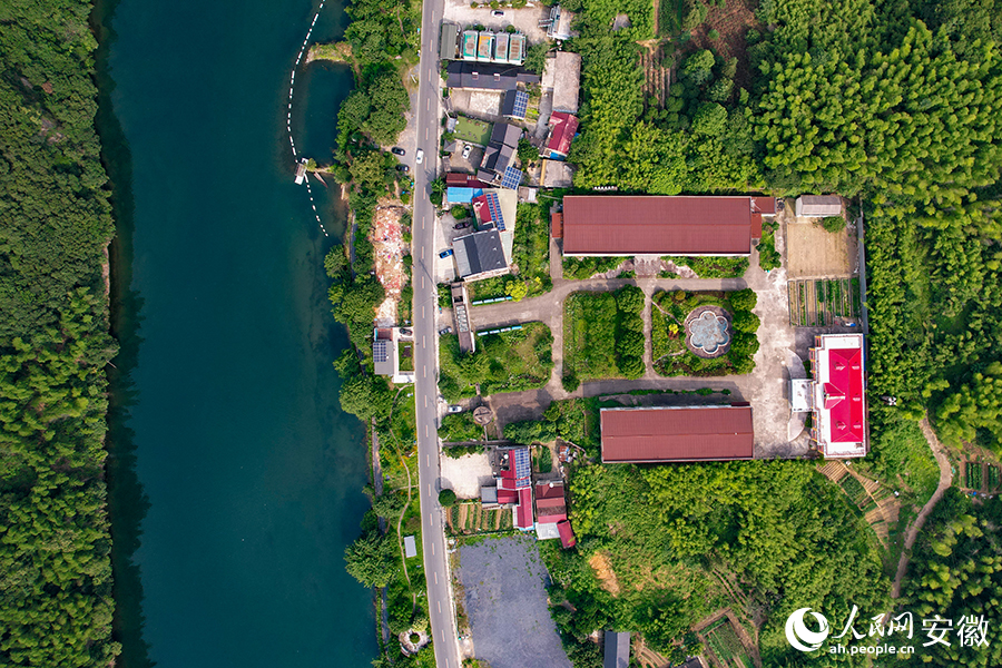 儲家灘民宿區(qū)。人民網(wǎng)記者 苗子健攝