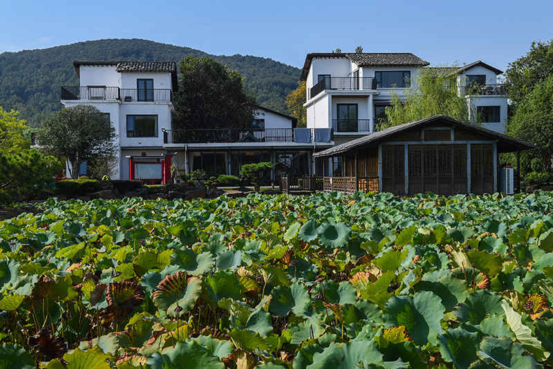 雨悅山房負(fù)責(zé)人原來(lái)在馬達(dá)加斯加打理酒店，之所以“從馬達(dá)加斯加到肥東”，源于對(duì)家鄉(xiāng)民宿前景看好。吳芳攝