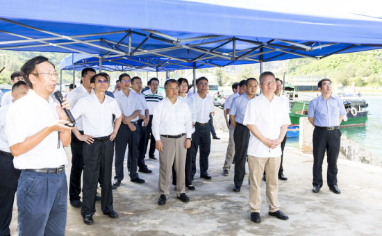 2019年6月21日上午，省長沈曉明率省政府班子成員在三亞鐵爐港調(diào)研項(xiàng)目規(guī)劃建設(shè)情況。海南日?qǐng)?bào)記者 宋國強(qiáng) 攝
