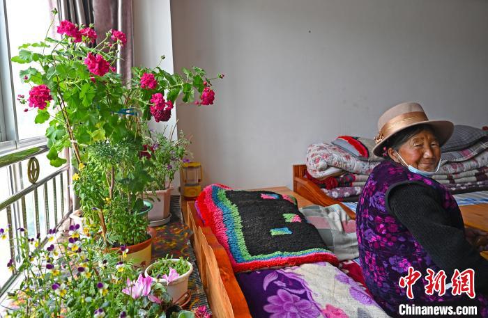 圖為曲松縣特困人員集中供養(yǎng)中心老人德吉卓嘎與她的花?！≮w朗 攝