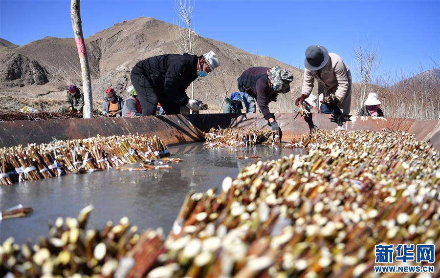 (圖文互動)(1)“最美第三極”:筑起生態(tài)文明高地