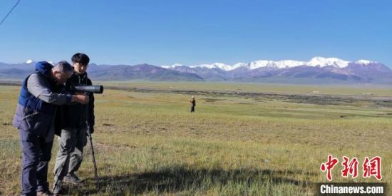 圖為工作人員正在進行黑頸鶴衛(wèi)星跟蹤和環(huán)志工作?！∑钸B山國家公園青海省管理局供圖 攝