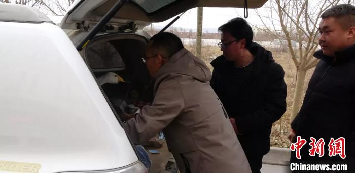 圖為民警救助國家二級保護動物——大天鵝。青海省公安廳森林警察總隊供圖