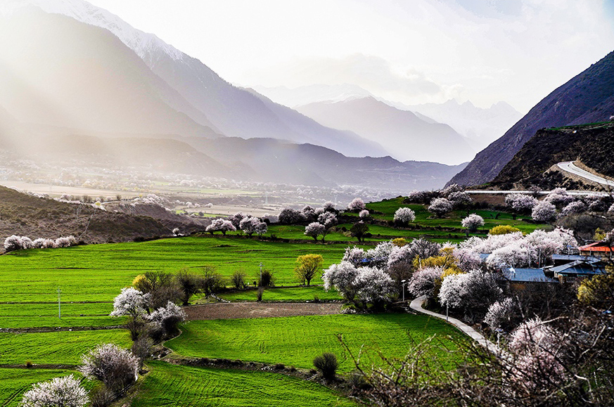 西藏林芝市波密縣傾多鎮(zhèn)八朵卡的田園風(fēng)光（攝于4月5日）。新華網(wǎng) 達(dá)娃攝.jpg