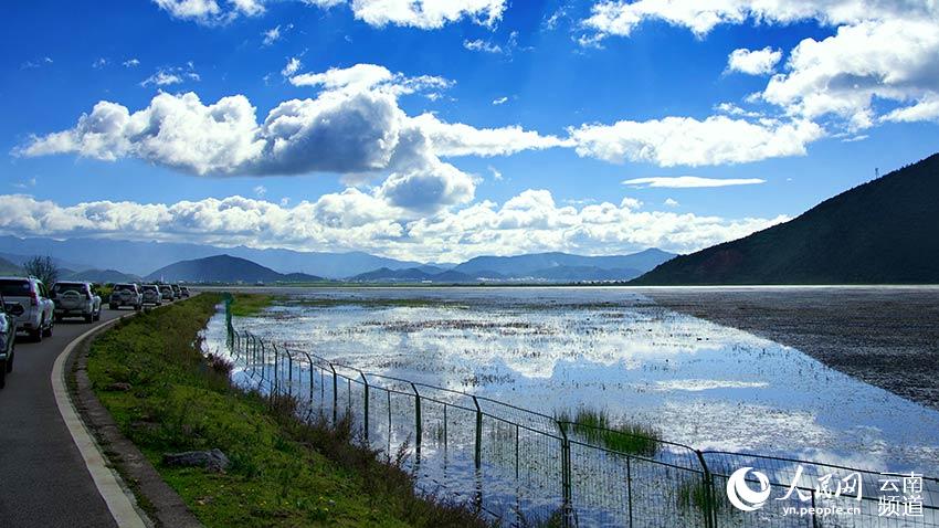 納帕海濕地。呂昊辰攝