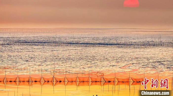 江蘇鹽城被譽為金灘銀蕩、魚米之鄉(xiāng)。　鹽城市委宣傳部供圖