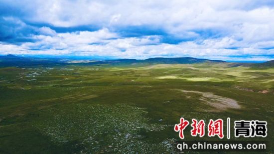 圖為長江南源沼澤濕地。李江寧攝