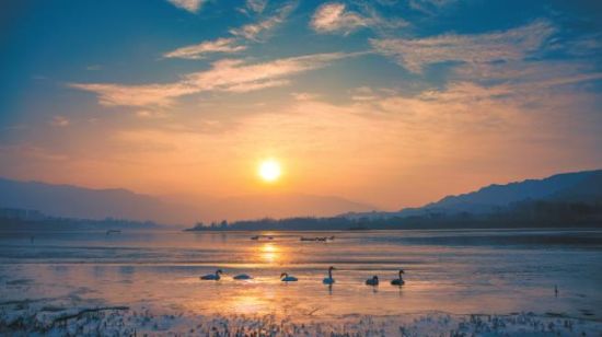 黃河冬之晨。