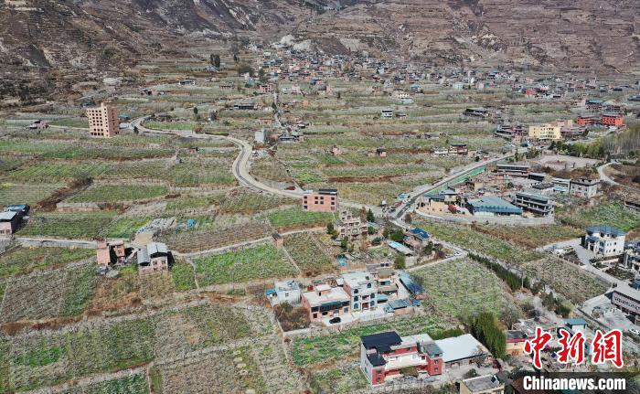 潔白的李花與村寨交相輝映，勾勒出一幅美麗的和諧生態(tài)畫卷。　何清海 攝