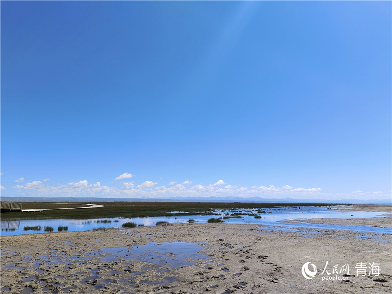   青海湖仙女灣。人民網(wǎng) 張莉萍攝