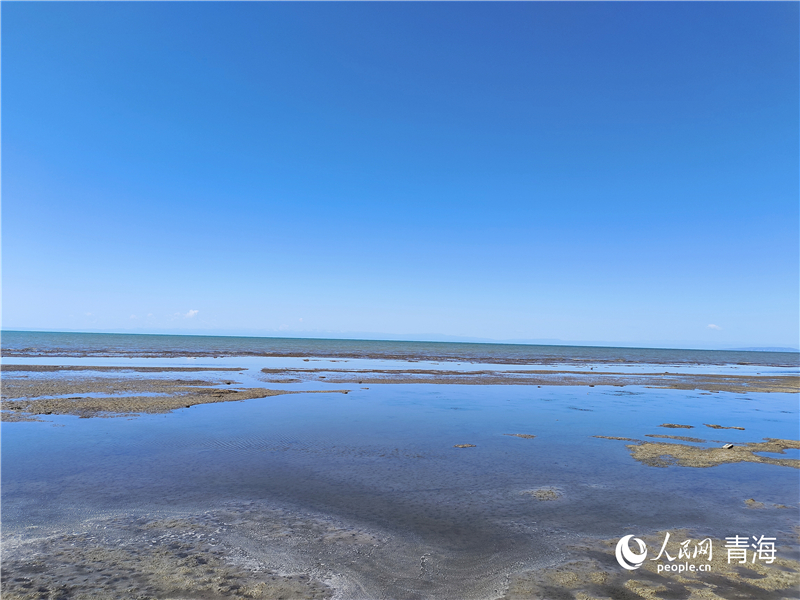   青海湖仙女灣。人民網(wǎng) 張莉萍攝