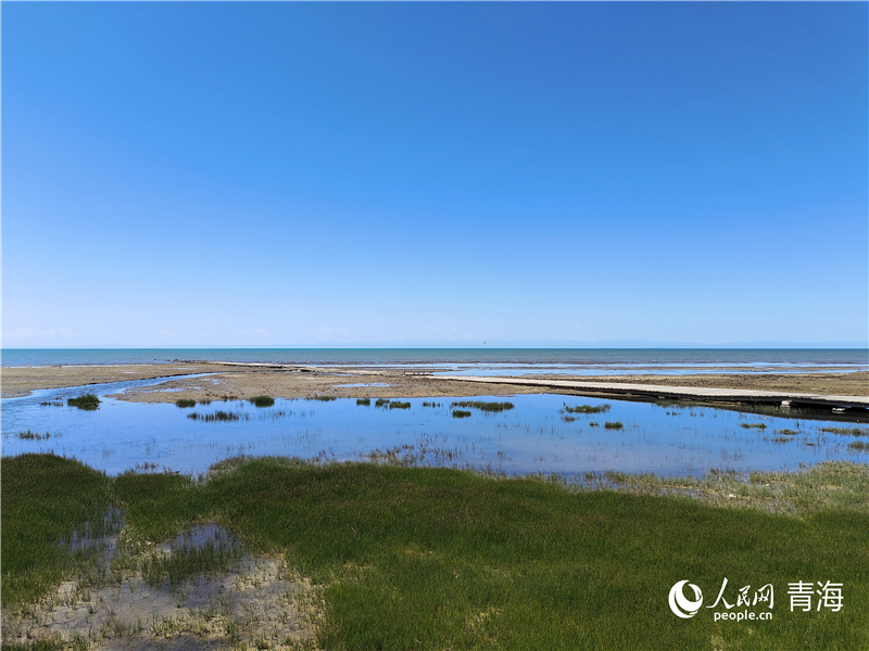   青海湖仙女灣。人民網(wǎng) 張莉萍攝