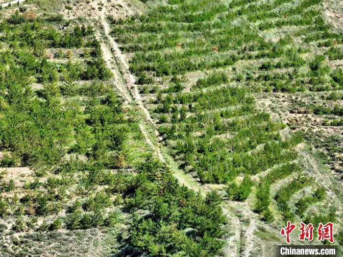 航拍建行青海省分行綠化區(qū)?！∑钤鲚?攝