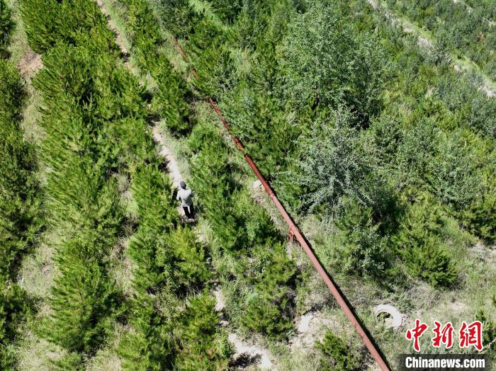 航拍建行青海省分行綠化區(qū)施工隊隊長盧占祥正在巡護綠化區(qū)?！∑钤鲚?攝