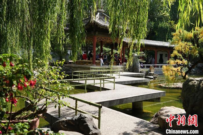 圖為西寧園林植物園秋日風景別有韻味?！●R銘言 攝