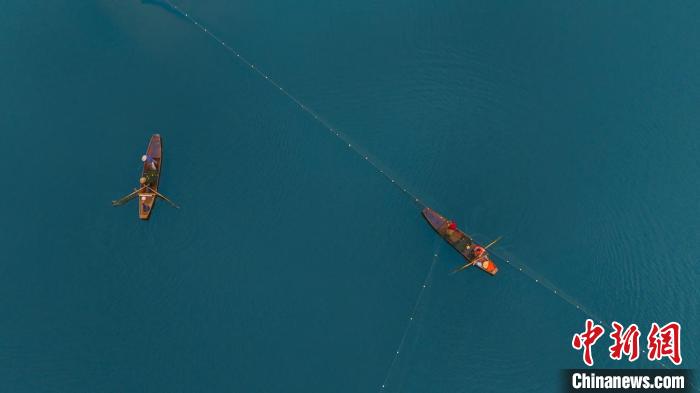 四川達州:魚躍蓮湖慶豐收