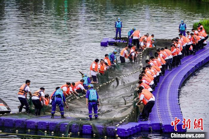 捕撈現(xiàn)場?！≈鬓k方供圖