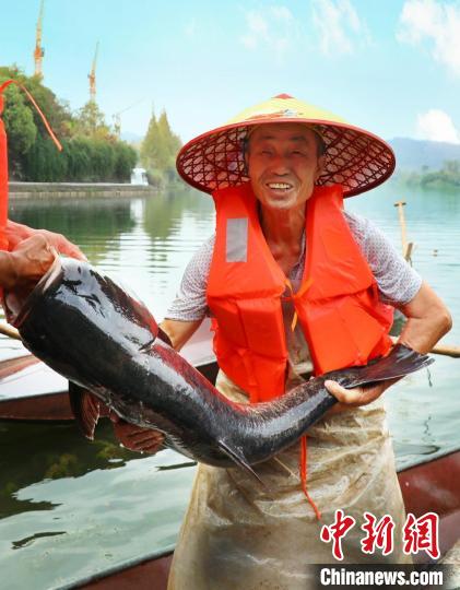 工作人員展示捕撈成果?！≈鬓k方供圖