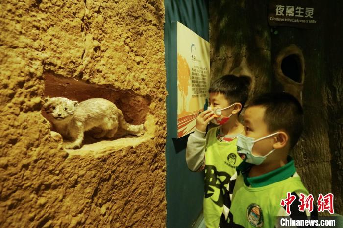 圖為小朋友在青海西寧湟水國家濕地公園科普館內(nèi)參觀學(xué)習(xí)?！●R銘言 攝