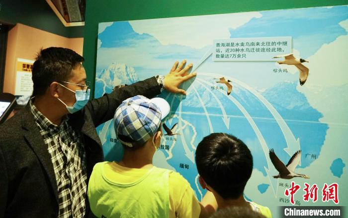圖為小朋友在青海西寧湟水國家濕地公園科普館內(nèi)參觀學(xué)習(xí)?！●R銘言 攝