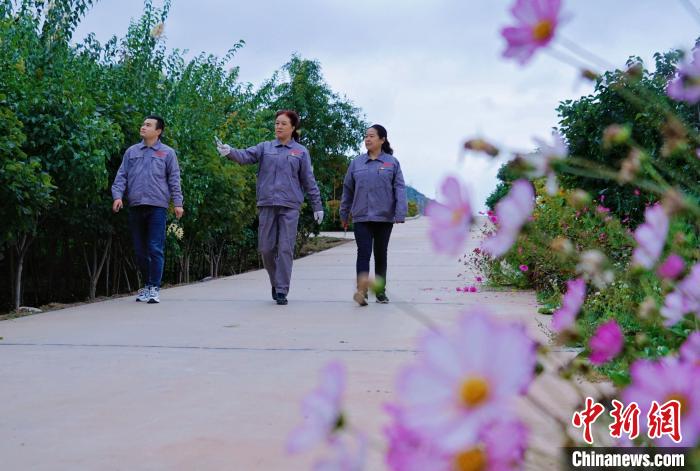 圖為張錦梅(中)與同事在西寧北山查看丁香樹?！●R銘言 攝