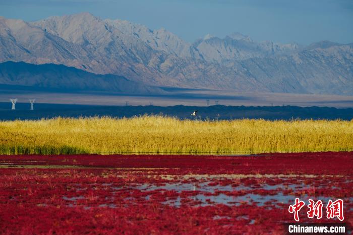 圖為柴達木盆地可魯克湖?！」?攝