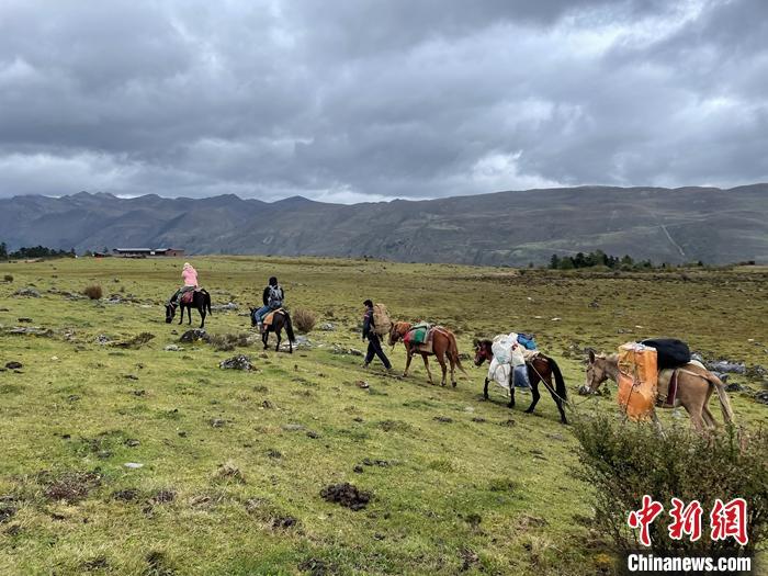圖為9月26日游客騎馬領(lǐng)略尼汝村高原牧場(chǎng)風(fēng)光。 <a target='_blank' href='/'><p  align=