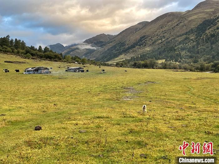 圖為9月27日新沾牧場(chǎng)的早晨景色。 <a target='_blank' href='/'><p  align=