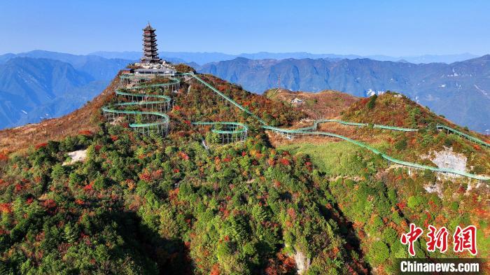 巴山大峽谷彩林迎來(lái)最佳觀賞期?！∫κ?攝