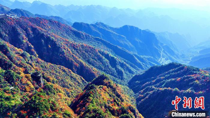 巴山大峽谷彩林迎來(lái)最佳觀賞期?！埰?攝