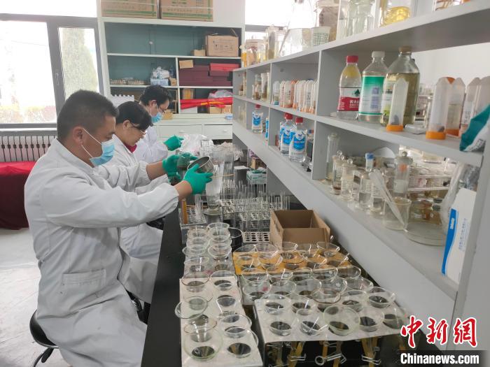 資料圖為研究團(tuán)隊(duì)進(jìn)行樣本檢查?！?青海省畜牧獸醫(yī)科學(xué)院供圖