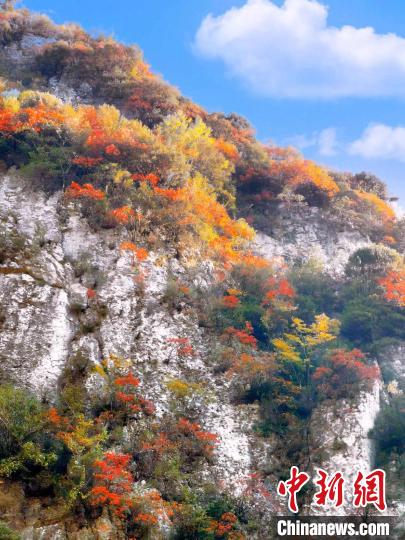 彩林色彩斑斕?！≈炱桨?攝