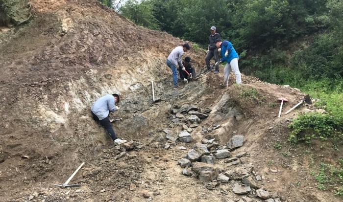 2018年玉海翼角魚(yú)野外發(fā)掘采集現(xiàn)場(chǎng)?！∩w志琨 攝