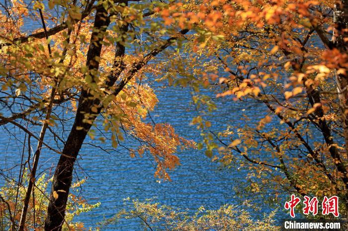 松坪溝風光?！⑼?攝