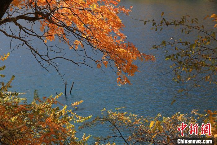 松坪溝風(fēng)光?！⑼?攝