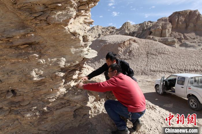 圖為地質(zhì)專家觀察鹽類沉積地層。(資料圖) 柴綜院 供圖