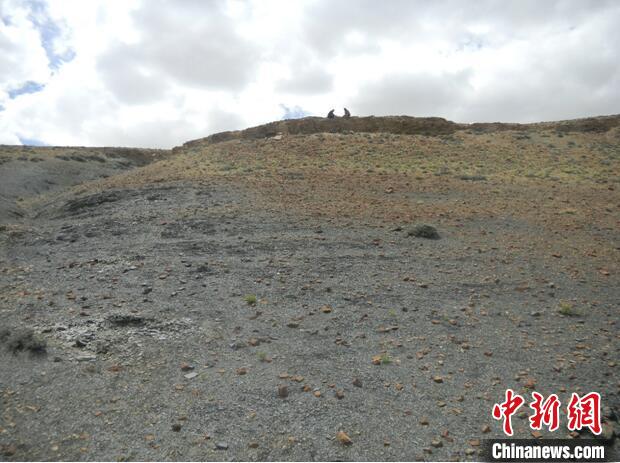 圖為本次研究的藏南曲布剖面二疊紀末期黑色頁巖?！∧瞎潘?供圖