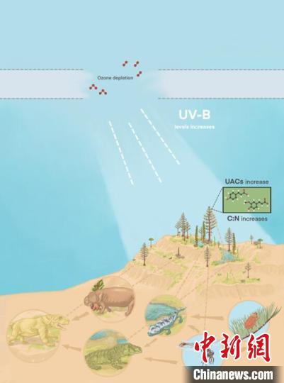 臭氧層破壞引起的紫外線輻射增加對陸地食物鏈的影響?！∧瞎潘?供圖
