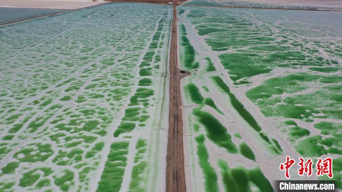 青海海西:2022年實(shí)現(xiàn)旅游收入40億元