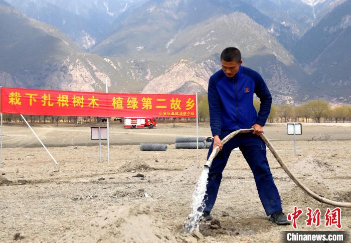 林芝市巴宜區(qū)森林消防中隊(duì)志愿服務(wù)隊(duì)澆水灌溉?！∥骼@拉翁 攝